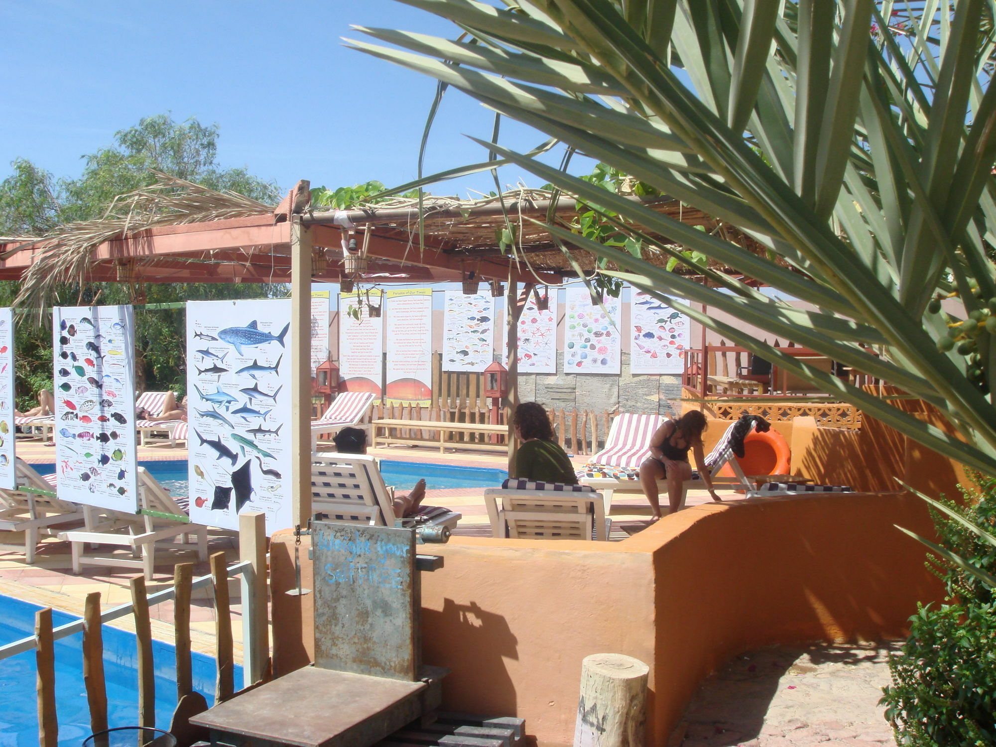 Bedouin Garden Village Akaba Buitenkant foto